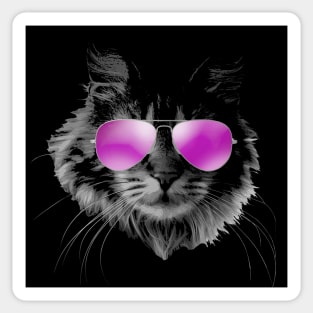 Cool Furry Cat with Sunglasses Sticker